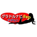 グラドルナビ8spアダルト
